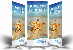 star fish x 3 roller banners 310×210